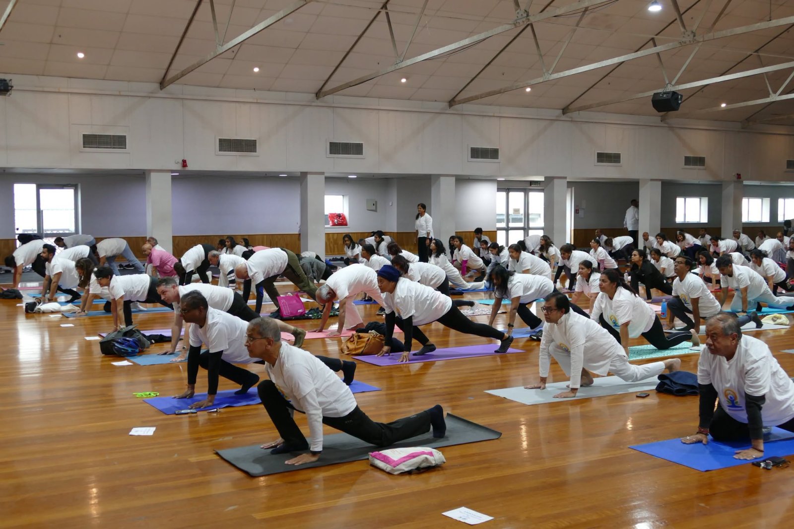 12th International Day of Yoga Celebrated at the Mahatma Gandhi Centre, Auckland